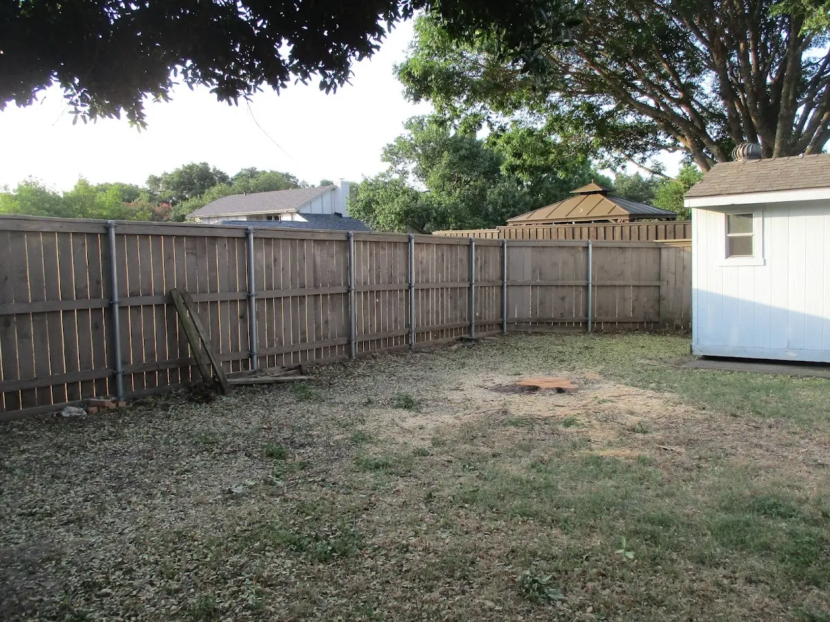 Cleared yard after professional tree removal in Elizabeth